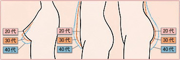 体型変化の図