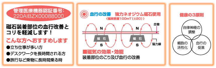 磁気の効果・効能図